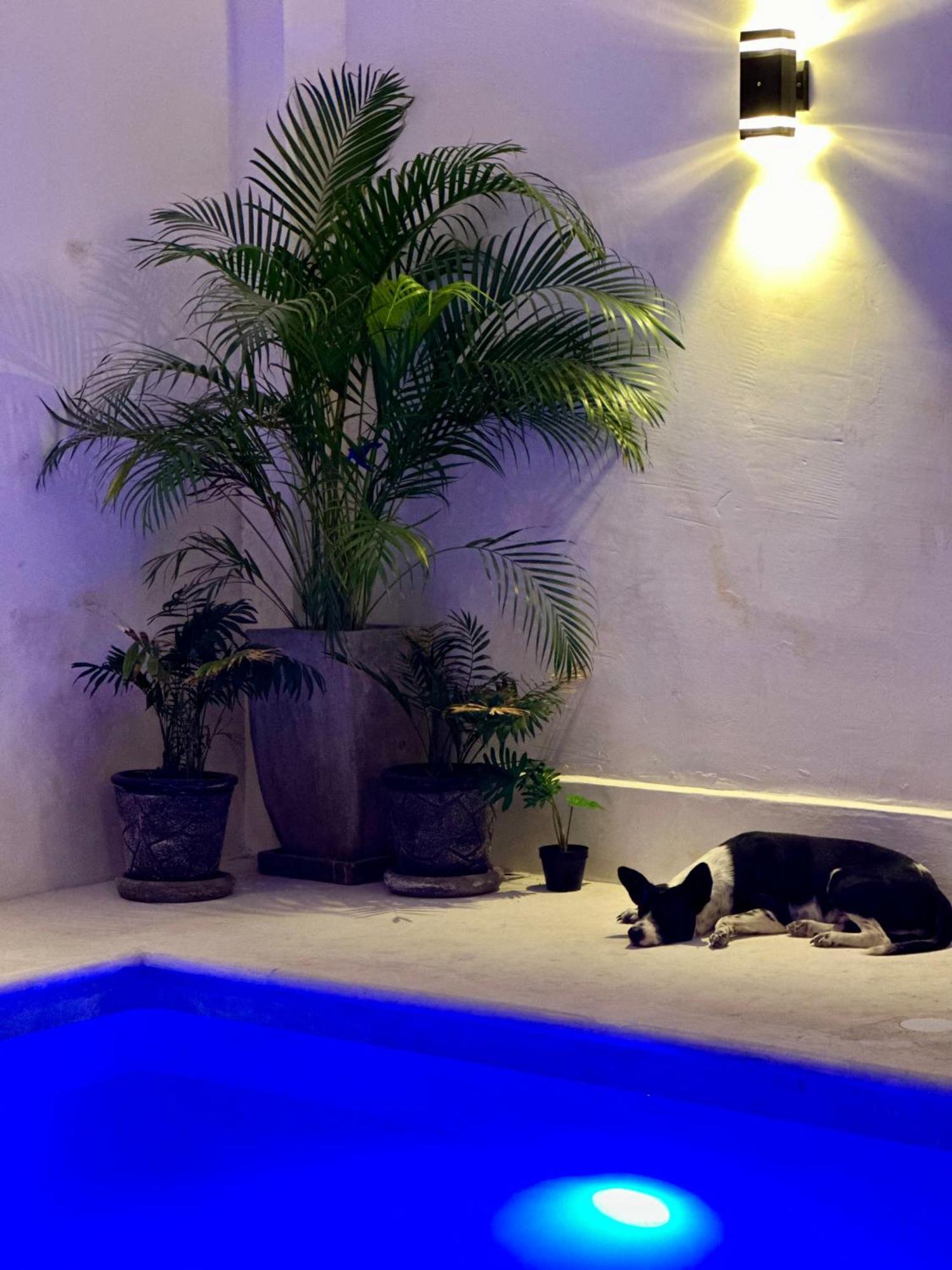 Hotel Casa Prisca Coyuca de Benitez Luaran gambar